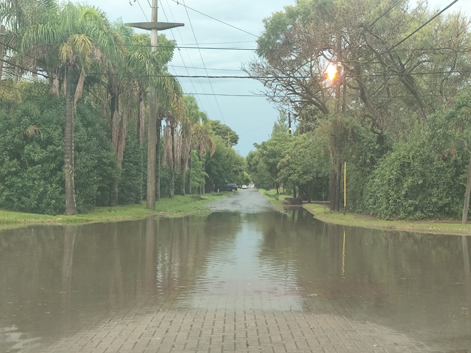 Martes lluvioso en Funes: cayeron casi 90 mm y ya hay desagües desbordados